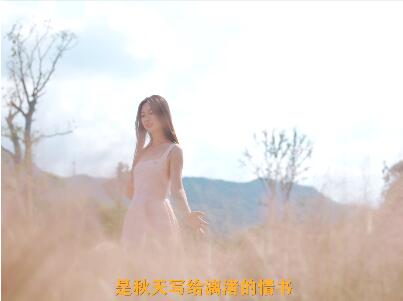 这个秋天,粉上漓渚!一起漫游漓渚粉黛花海、橄榄园与烟囱咖啡