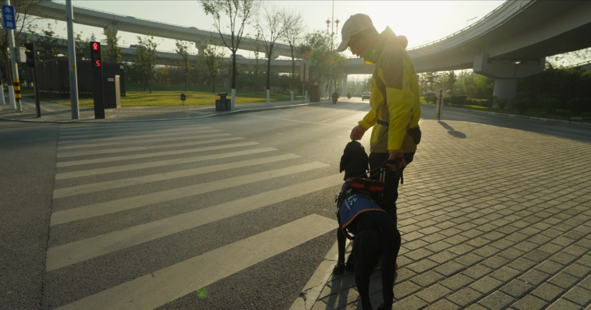 “小红花回响光影录”倡导无障碍环境建设，接纳导盲犬就是接纳盲